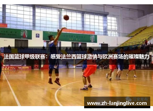 法国篮球甲级联赛：感受法兰西篮球激情与欧洲赛场的璀璨魅力